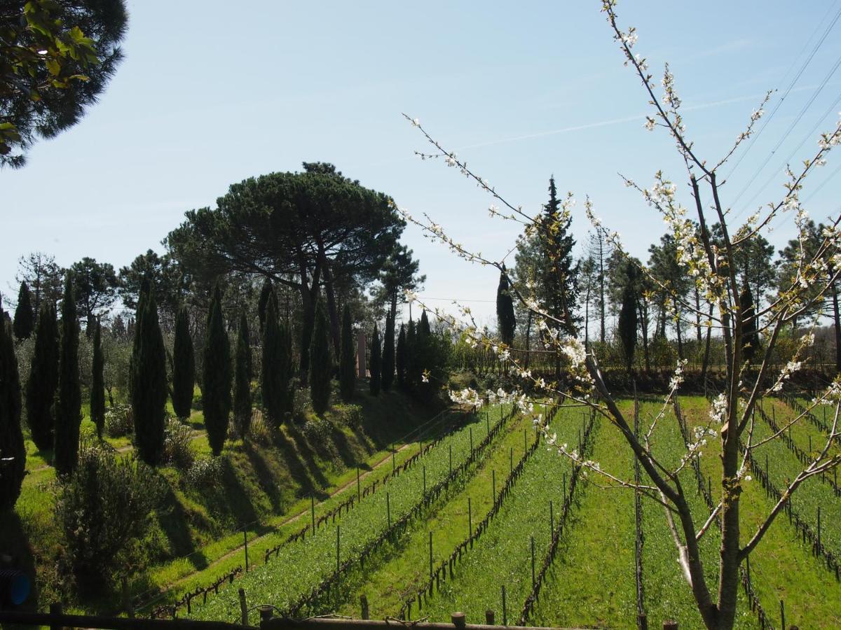 Agriturismo Gli Archi Fauglia Экстерьер фото