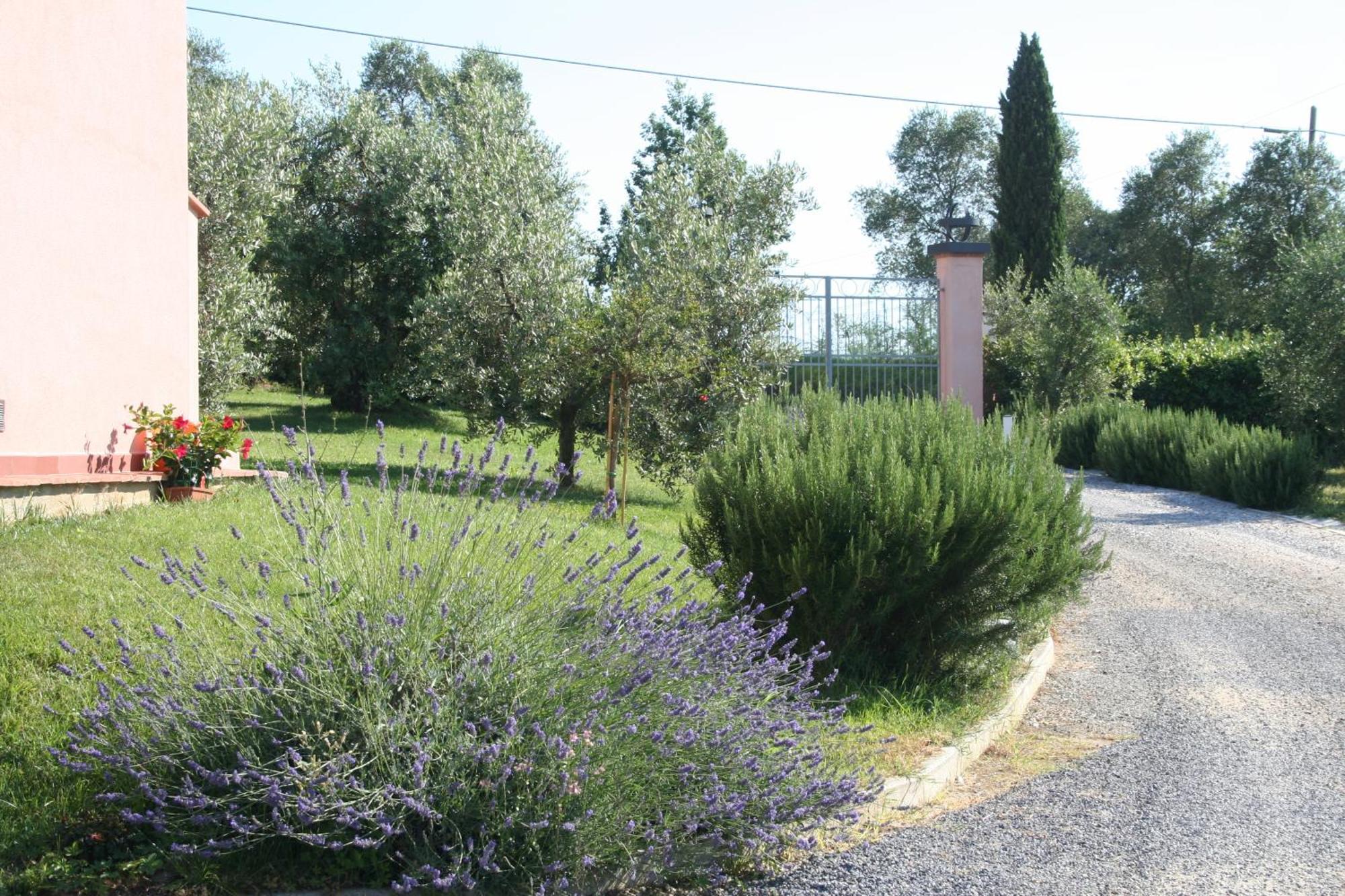 Agriturismo Gli Archi Fauglia Экстерьер фото