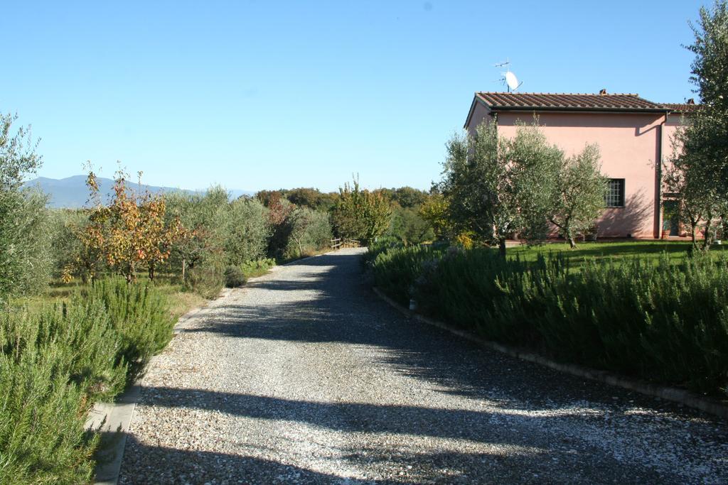 Agriturismo Gli Archi Fauglia Экстерьер фото