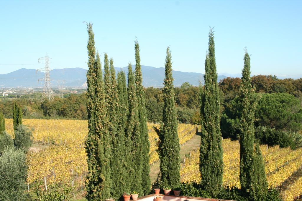 Agriturismo Gli Archi Fauglia Экстерьер фото