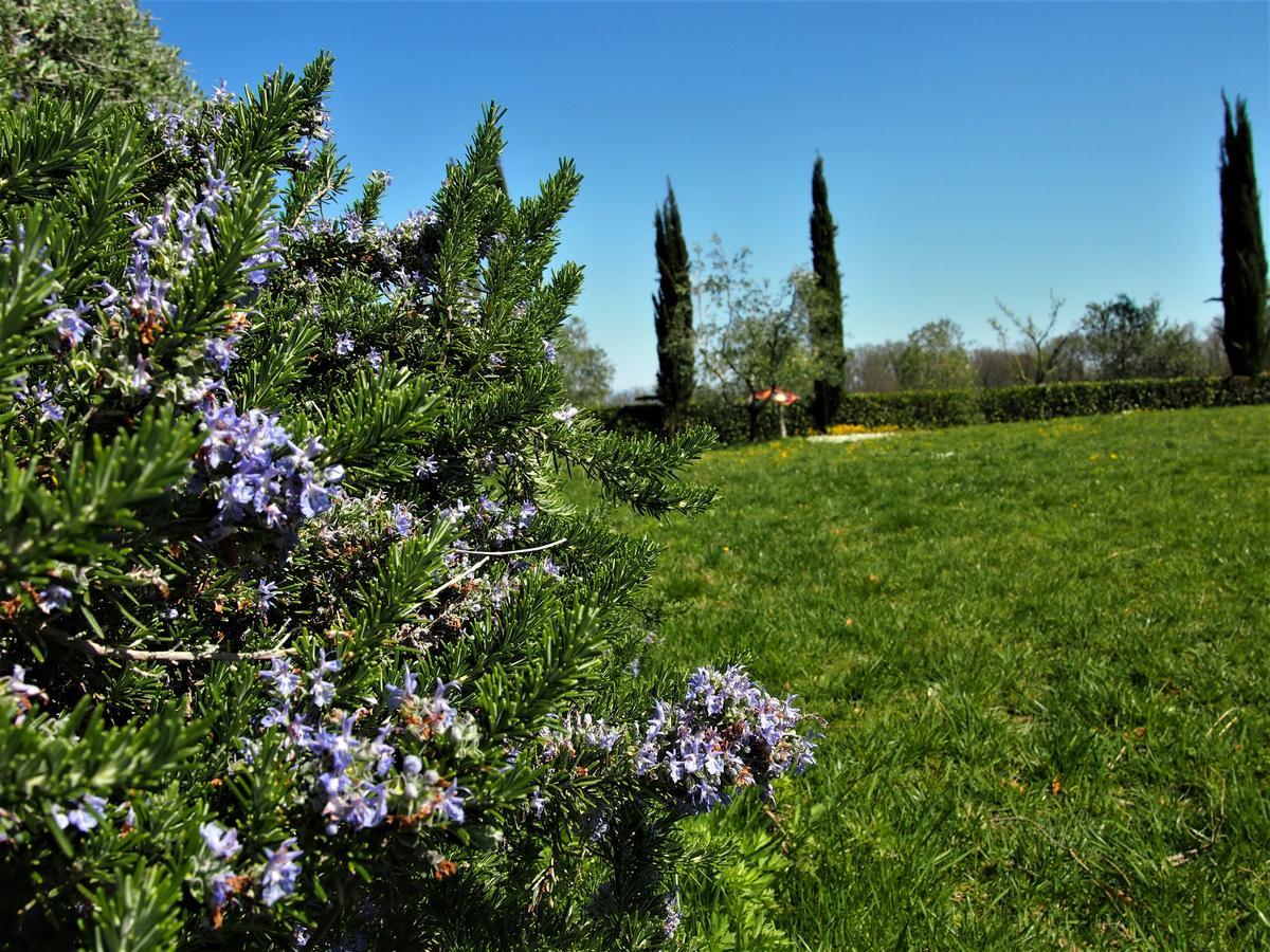 Agriturismo Gli Archi Fauglia Экстерьер фото